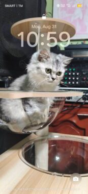Reanne angelica Catitig